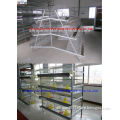 Factory price ladder chicken cages